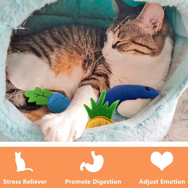 AWOOF Catnip Toys for Indoor Cats, 6 Pack Cat Chew Toys Plush Interactive Cat Kicker Toy for Indoor Kitten Exercise for All Breeds - Image 4